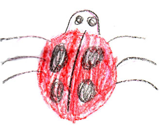 How the Lady Bug Got Its Spots