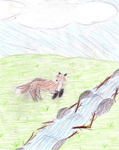 The Lucky Fox