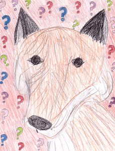 The Lucky Fox