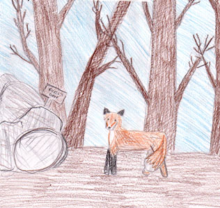 The Lucky Fox