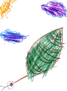 My Magic Leaf