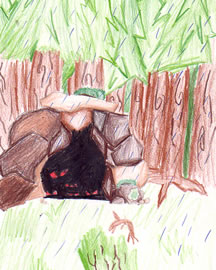 Riger Plumm Macburl
