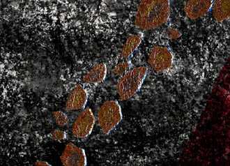 How the Asteroid Belt Was Made