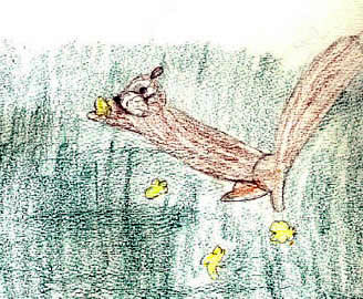 The Chipmunk Who Lived Under the Stairs 