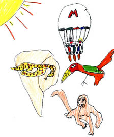 The Loony Balloony