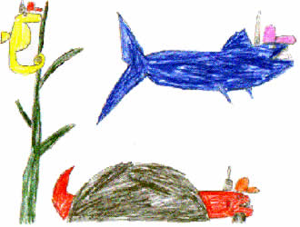 Peeno the Shark and the Special Day 