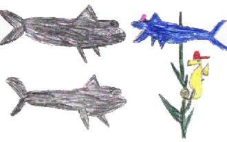 Peeno the Shark and the Special Day