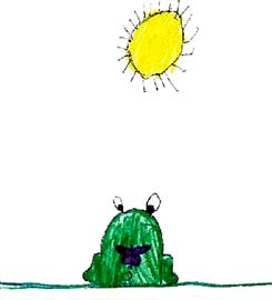 Frog's New Friend