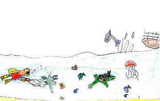 Scuba Diving in the Sea