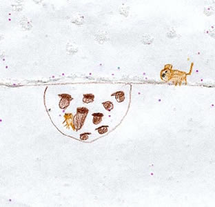Counting Backward in the Snowy Backyard