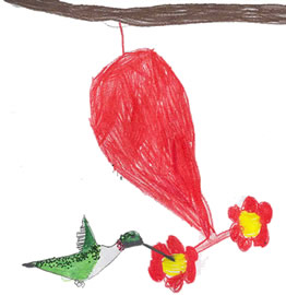 What Birds Tell Me