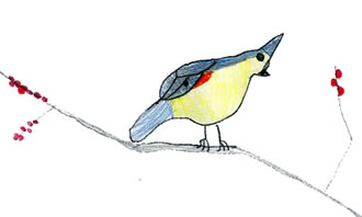 What Birds Tell Me