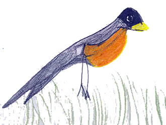 What Birds Tell Me