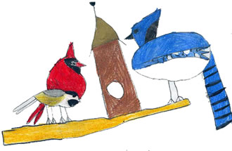 What Birds Tell Me