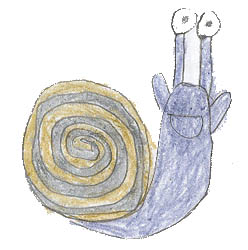Miss Snail Needs a Valentine