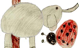 The Homeless Ladybug