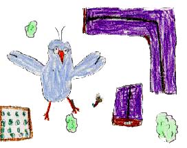 The Pigeon