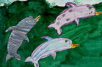The Purple Dolphin