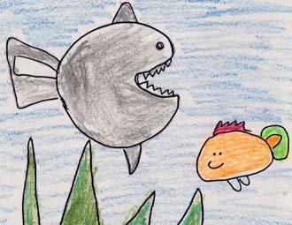 Shark Finds a New Friend
