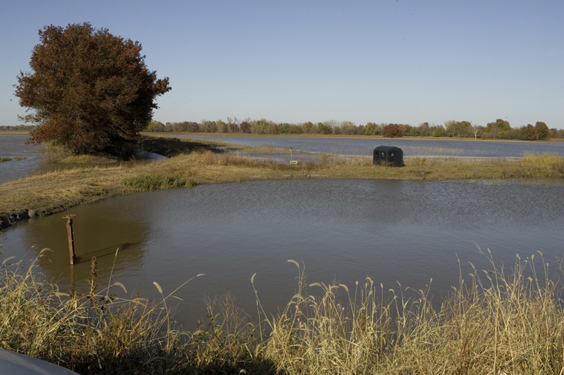 Ponds Natureworks