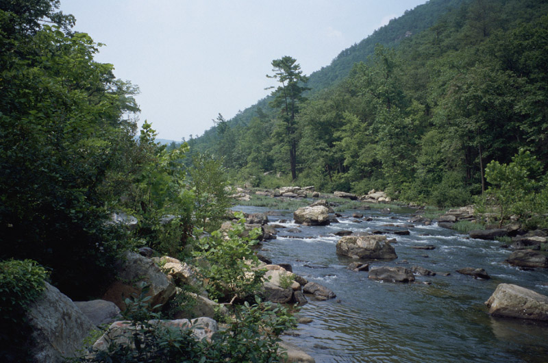 River Streams Near Me Rivers And Streams - Natureworks