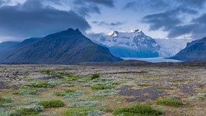 Exploring Wild Iceland