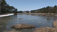 Spring in New England