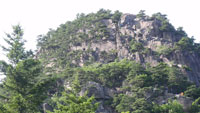 Acadia's Beehive