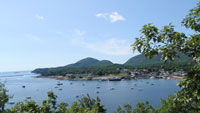 Acadia's Vanishing Trail