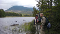 Back-Pond Fishing 